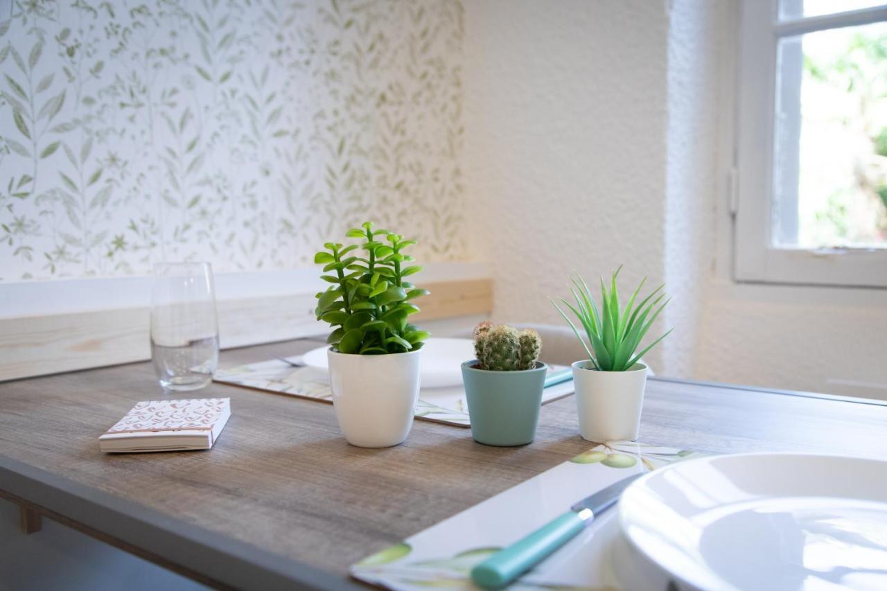 Apartament Le So'Green - Au Coeur De Toulouse - Netflix Zewnętrze zdjęcie